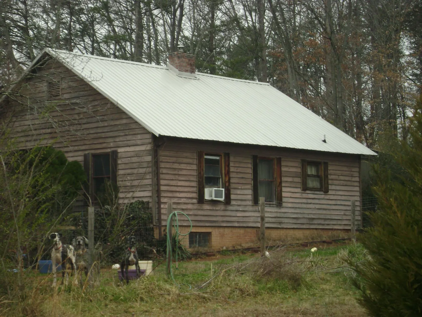 White metal roof on an old wood sided farmhouse, from a Asphalt Shingle Roof Repair job in Harvard